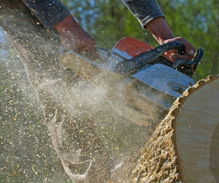 Tree Removal Salt Lake City Tree Service