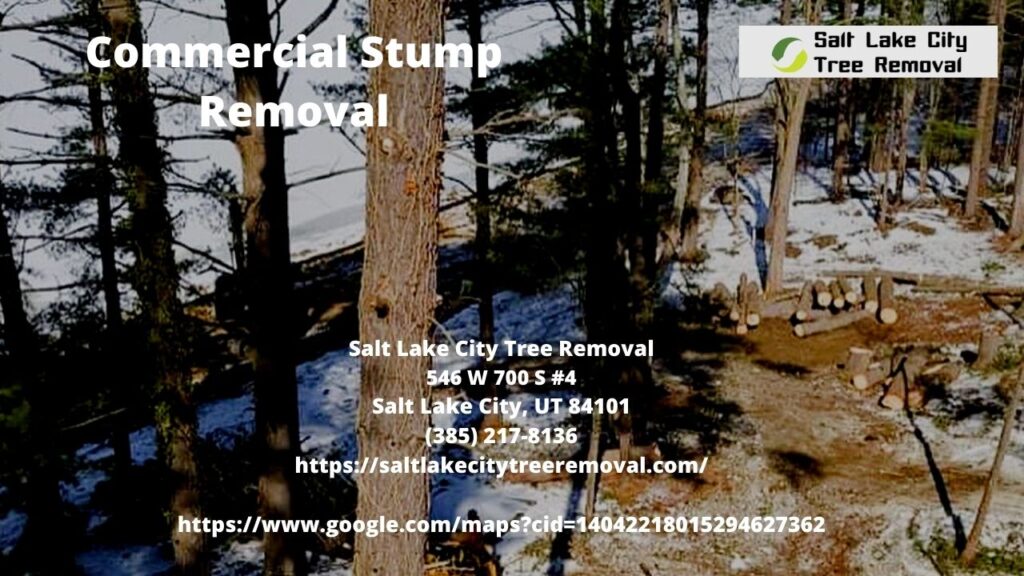  Commercial Stump Removal
