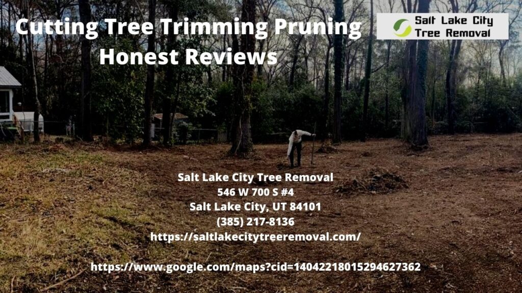 Cutting Tree Trimming Pruning Honest Reviews