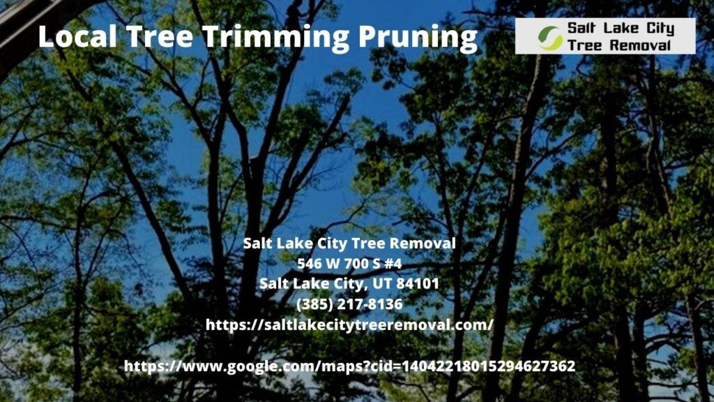 Local Tree Trimming Pruning