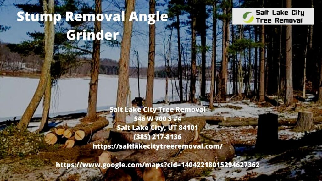 Stump Removal Angle Grinder