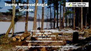 Stump Removal Angle Grinder