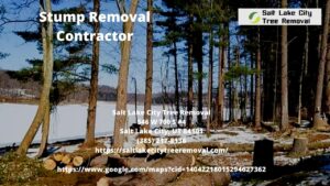 Stump Removal Contractor