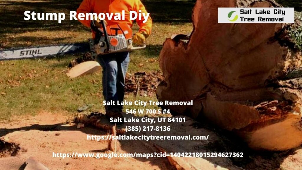  Stump Removal Diy