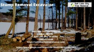 Stump Removal Excavator
