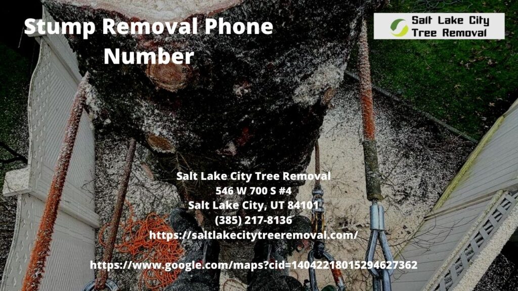  Stump Removal Phone Number