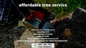 affordable tree service