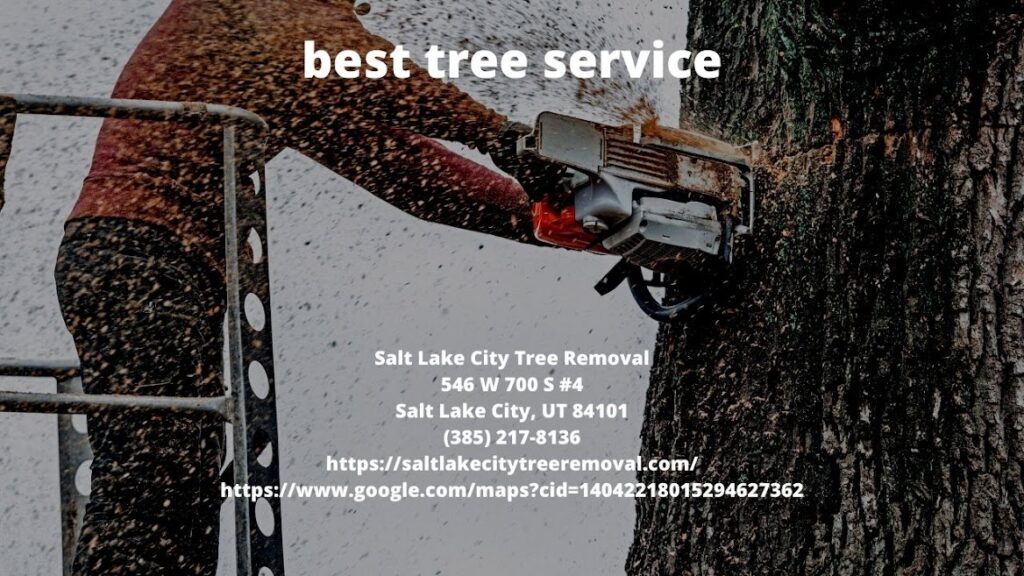 best tree service