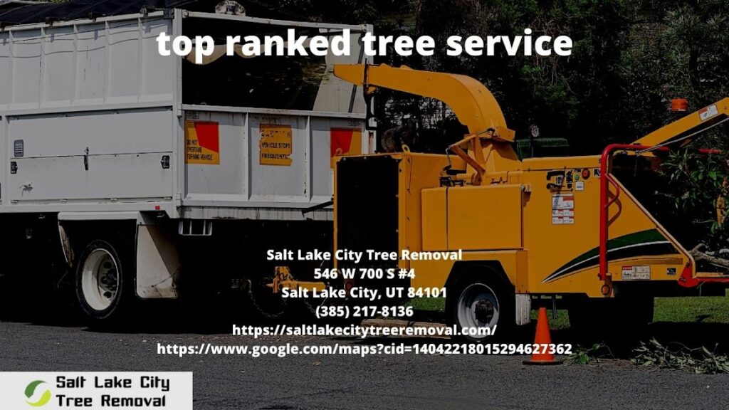 top ranked tree service