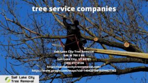 tree service companies