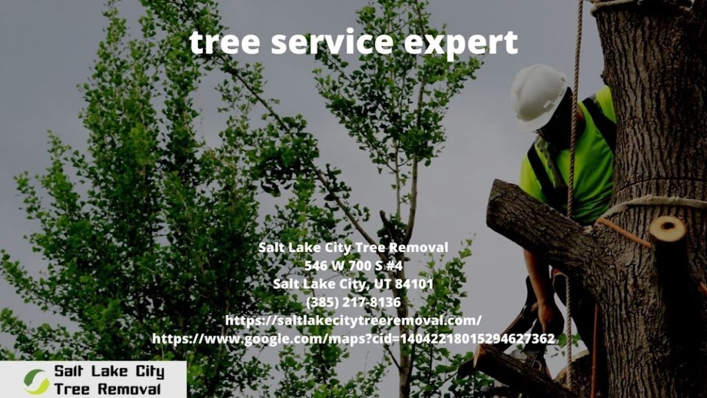 tree service expert