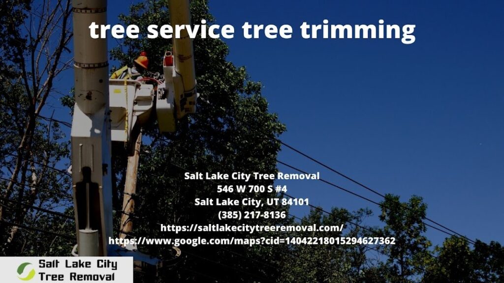 tree service tree trimming